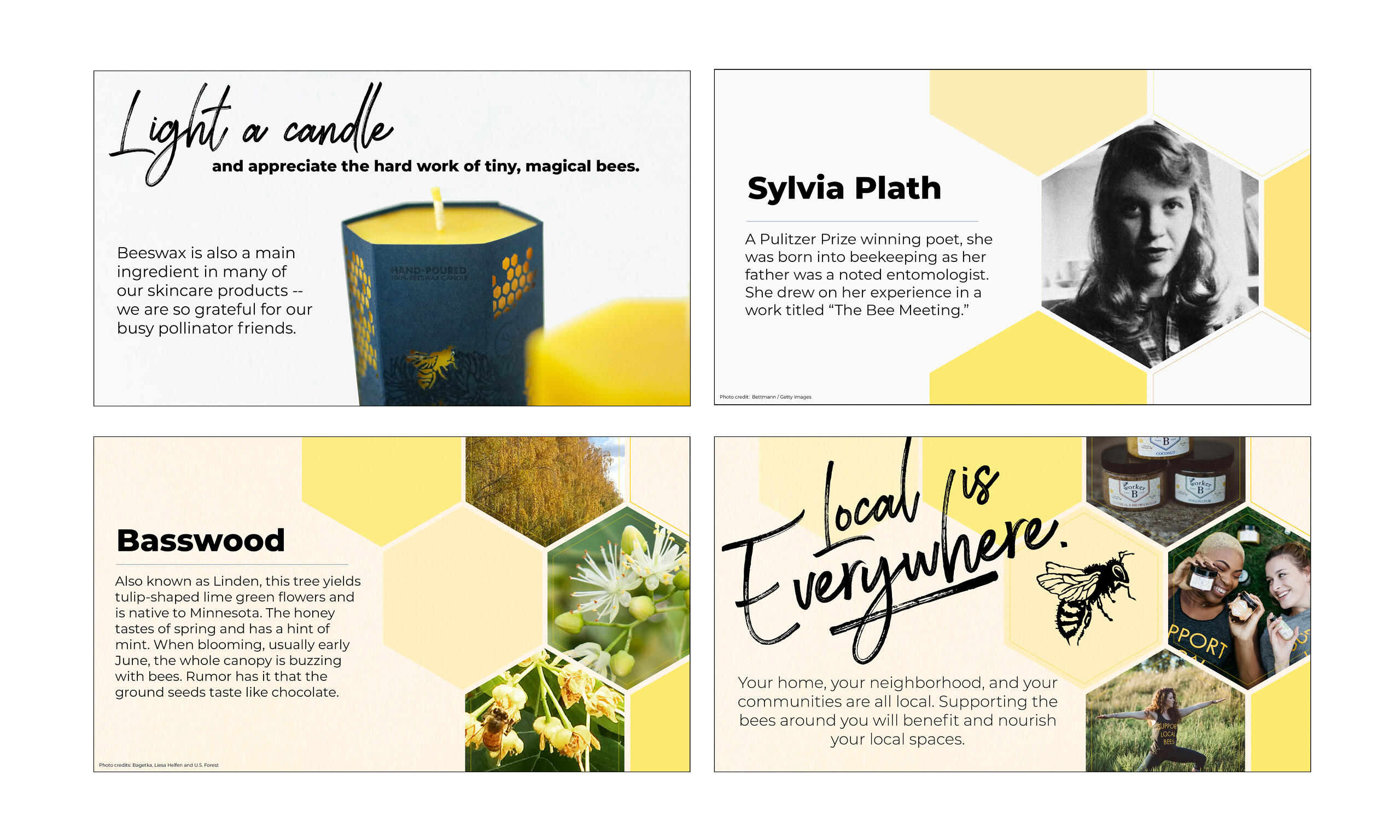 A variety of slides showing bee and honey products and trivia