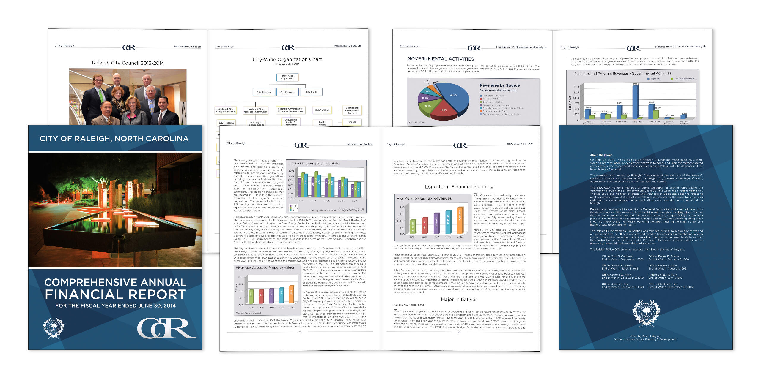 Images of report pages